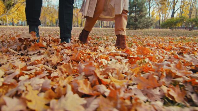 Close up two unrecognizable pairs legs walking slowly kicking fallen leaves unknown couple in autumn park guy and girl scattering leafage outdoors rejoice sunny day man walk with woman in fall forest