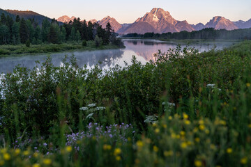 Alpenglow on the peaks of the Grand Tetons mountains during sunrise at Oxbow Bend