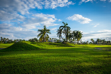 Redundant golf course at sunrise on Grand Cayman, Cayman Islands
- 473420030