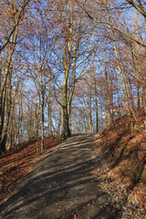 Stations of the Cross at Hungerberg /Vörden