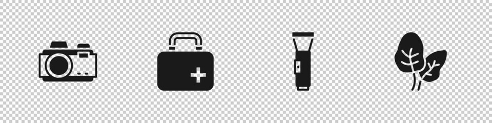 Set Photo camera, First aid kit, Flashlight and Tropical leaves icon. Vector