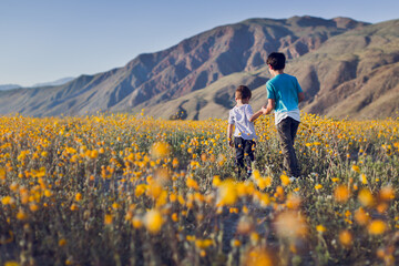 Two boys holding hands and walking on a wildflower field in the desert