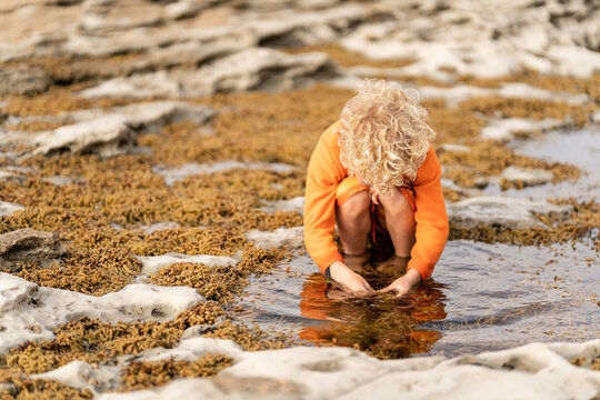 Child with blonde curly hair playing in rock pool in New Zealand