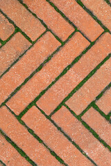 Sidewalk laying. Grunge brick background with moss. Brickwork vintage background. Rustic brick texture.