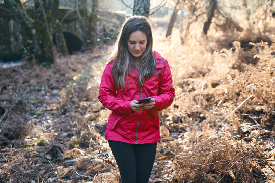 Adventurous girl consulting the route of her trekking route. Beautiful young woman travels alone in the autumn forest.
