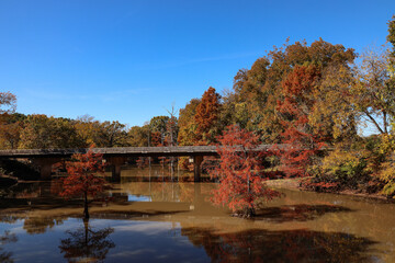 Fototapeta na wymiar Bridge over river in the fall