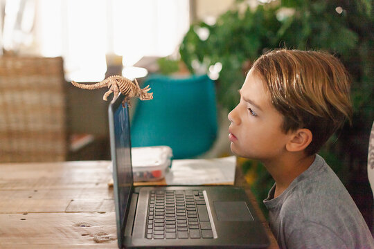 Boy looking at toy dinosaur during his distance learning.