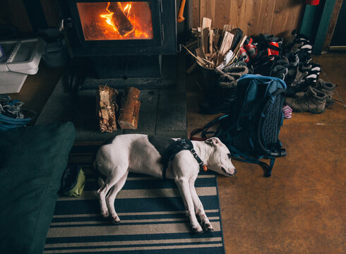 A black and white dog sleeps in front of wood fire stove in ski hut