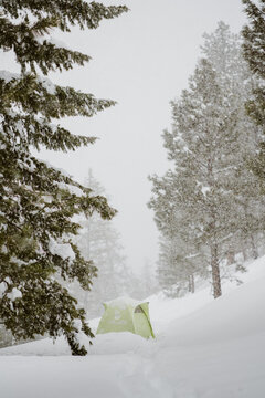 Footprints in deep snow lead to a small green tent in the backcountry