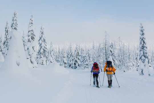 Two friends snowshoe with backpacks and trekking poles at sunrise