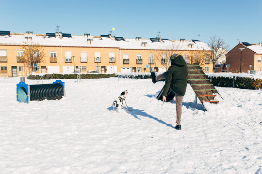 Man training his dog in the snow and play with a ball