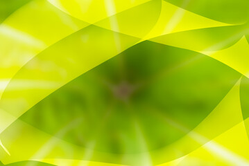 Graphic background is light green .Modern looking digital curve art of abstract moving waves in colorful gradients
