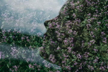 how beautiful summer is in its colors