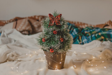 little christmas tree on a cozy ambient