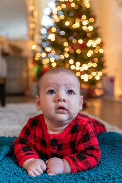 Baby boy experiencing his first Christmas.