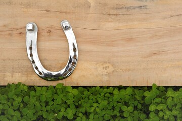 Saint Patrick background. horseshoe on a wooden board in clover.St.Patrick 's Day.Irish traditional spring holiday.Shiny silver horseshoe