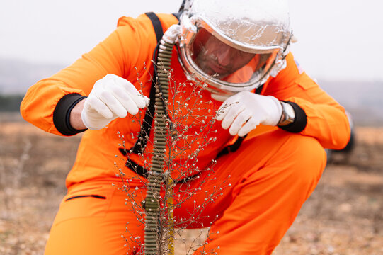 Man dressed as an astronaut examining the grass