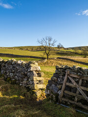 Hill walking between Langcliffe, Attermire Scar and Settle via the Dales Highway in the Yorkshire Dales