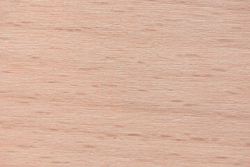 Beech tree (Fagus) texture. Raw unfinished surface.  Often used for wooden bowls, drum sticks and...