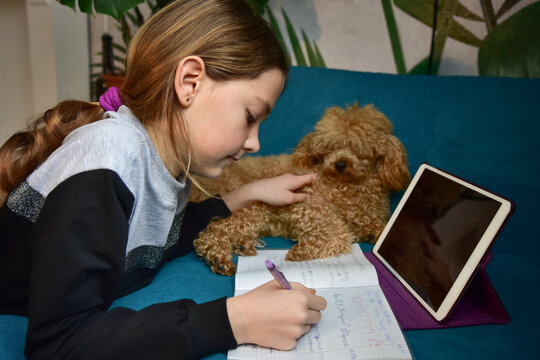 Girl with a dog doing distance learning lessons