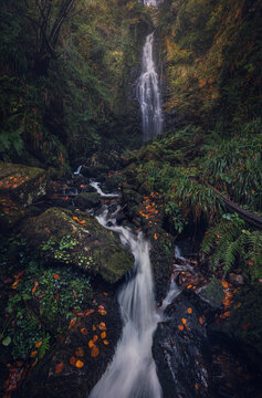 Waterfall in deep of Gorbeia national park