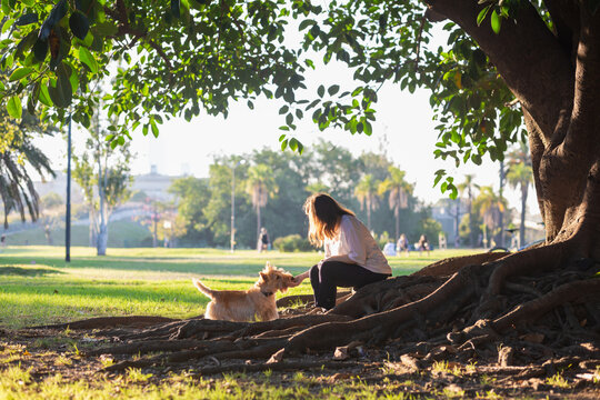 A girl with dog sits on roots of  huge ficus tree in the city park