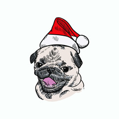 Vintage hand drawn colored dog wear Christmas costume Santa Claus hat