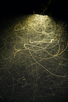 Long Exposure of 1000's of Insects Flight Patterns