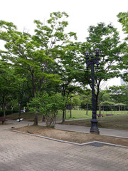 It is a park with walking trails