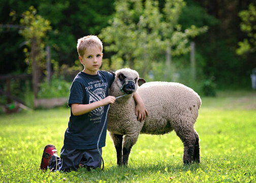 Little blond boy with his arm around a lamb in the country