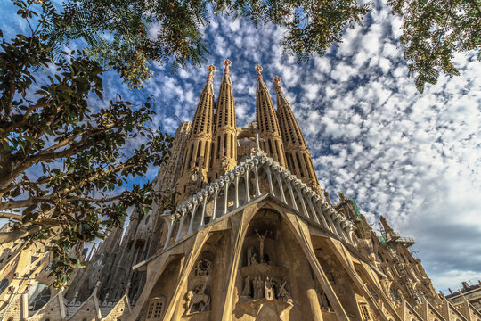 Low angle View of Sagrada Familia surronded by tree leafs