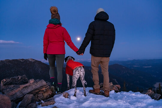 Rear view of couple holding hands while standing with dog on mountain peak during winter at dusk