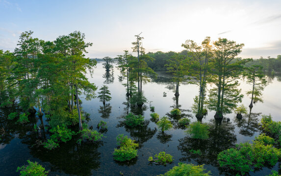 Morning Aerial Reflections on Beaty Lake