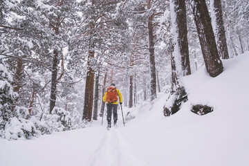 Young man wearing a yellow touring jacket and an orange backpack, skiing through a snowstorm in the woodlands of Sierra de Guadarrama