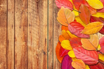 Fototapeta na wymiar Colorful fall leaves on wooden boards. Festive autumn background,