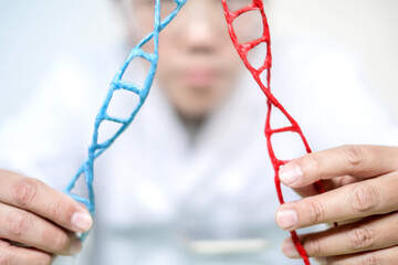 Scientist analyse DNA molecule in a laboratory on genetic engineering and gene manipulation...