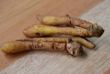 Boesenbergia rotunda, commonly known as Chinese keys, fingerroot, lesser galangal or Chinese ginger, is a medicinal and culinary herb that the shape of the rhizome resembles that of fingers growing.