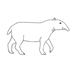 Vector hand drawn doodle sketch tapir isolated on white background