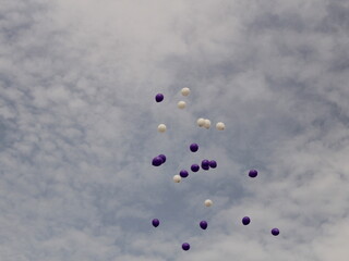 belive you can fly