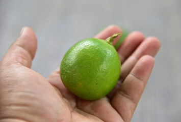 Citrus aurantiifolia, The Key lime.West Indian lime, bartender's lime, or Omani lime,  is a citrus...