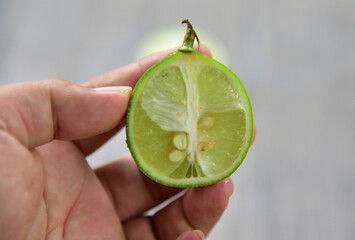 Citrus aurantiifolia, The Key lime.West Indian lime, bartender's lime, or Omani lime,  is a citrus...