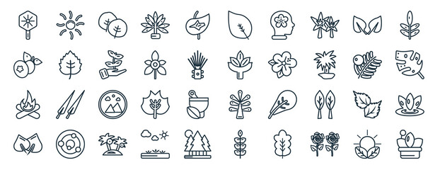 set of 40 flat nature web icons in line style such as shining sun with rays, bilberry leaf, camping bonfire, cercis leaf, yew leaf, acacia, ovate icons for report, presentation, diagram, web design