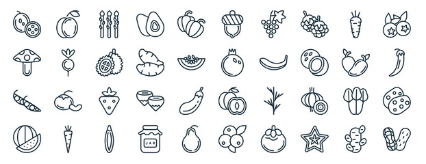 Fototapeta premium set of 40 flat fruits web icons in line style such as peach, mushroom, pea, watermelon, mango, blueberry, acorn icons for report, presentation, diagram, web design