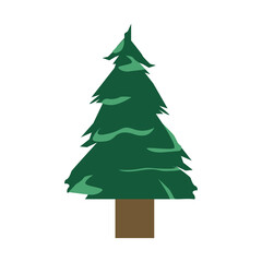 pine tree green