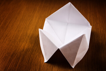 Paper cootie catcher fortune telling game, blank for text