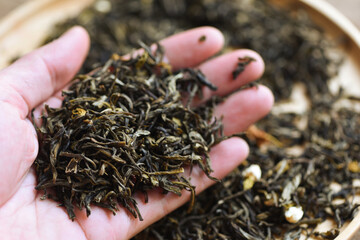 Chinese dry tea on hand, jasmine tea dried for brew tea, leaf black tea - obrazy, fototapety, plakaty