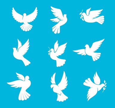 Christmas dove or wedding pigeon silhouettes, vector bird of peace and winter holiday. White dove with olive branch leaf, symbol of hope and freedom, wedding or Christmas greeting card icons