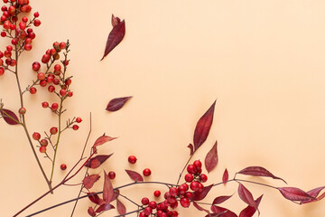 베이지색 배경에 빨강 식물과 여백