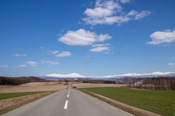 春の畑作地帯と雪山　大雪山