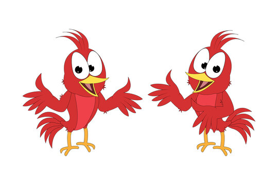 Cute red bird aimal cartoon